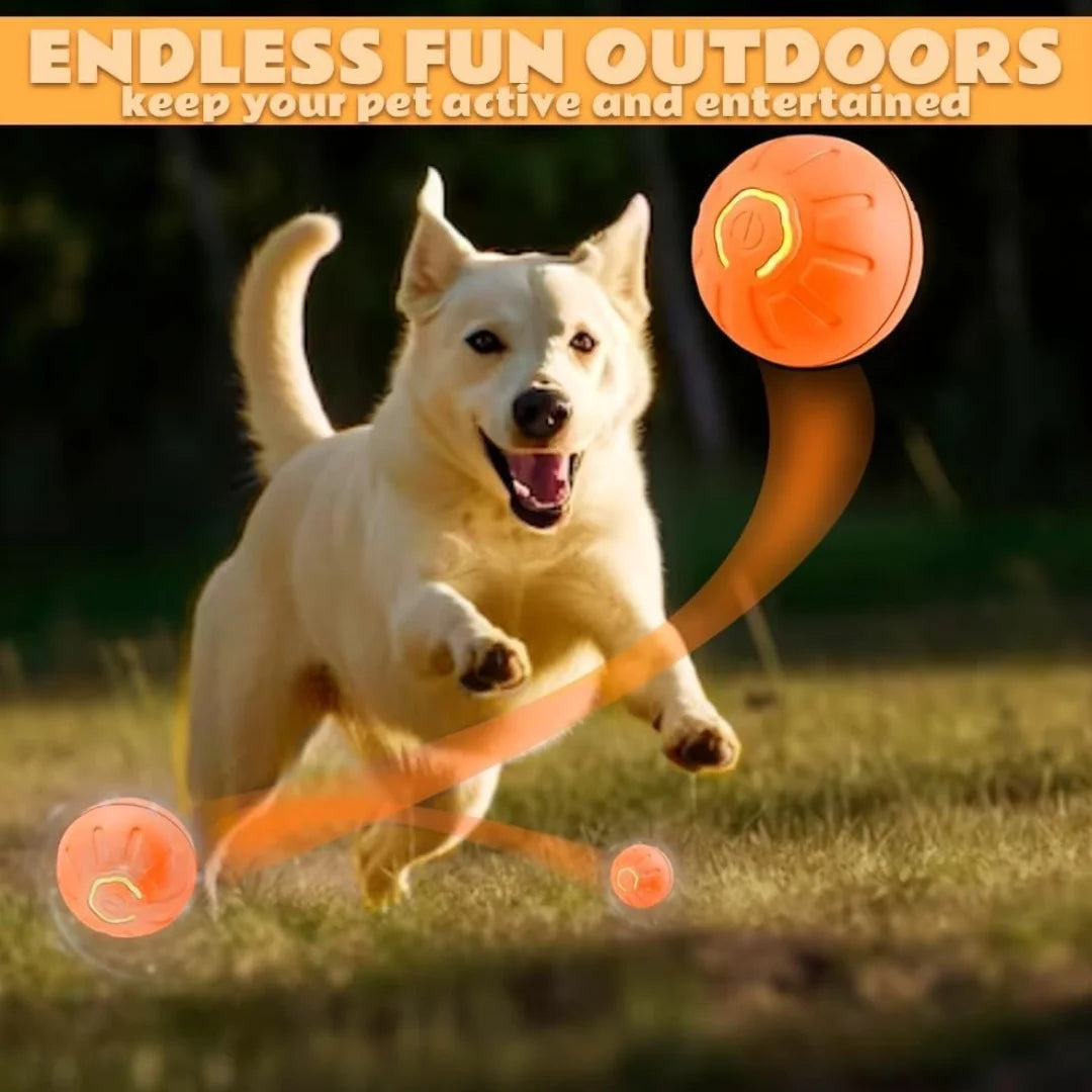 Bola Elétrica Inteligente Balsapets – Brinquedo Gravitacional para Cães e Gatos