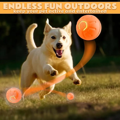Bola Elétrica Inteligente Balsapets – Brinquedo Gravitacional para Cães e Gatos