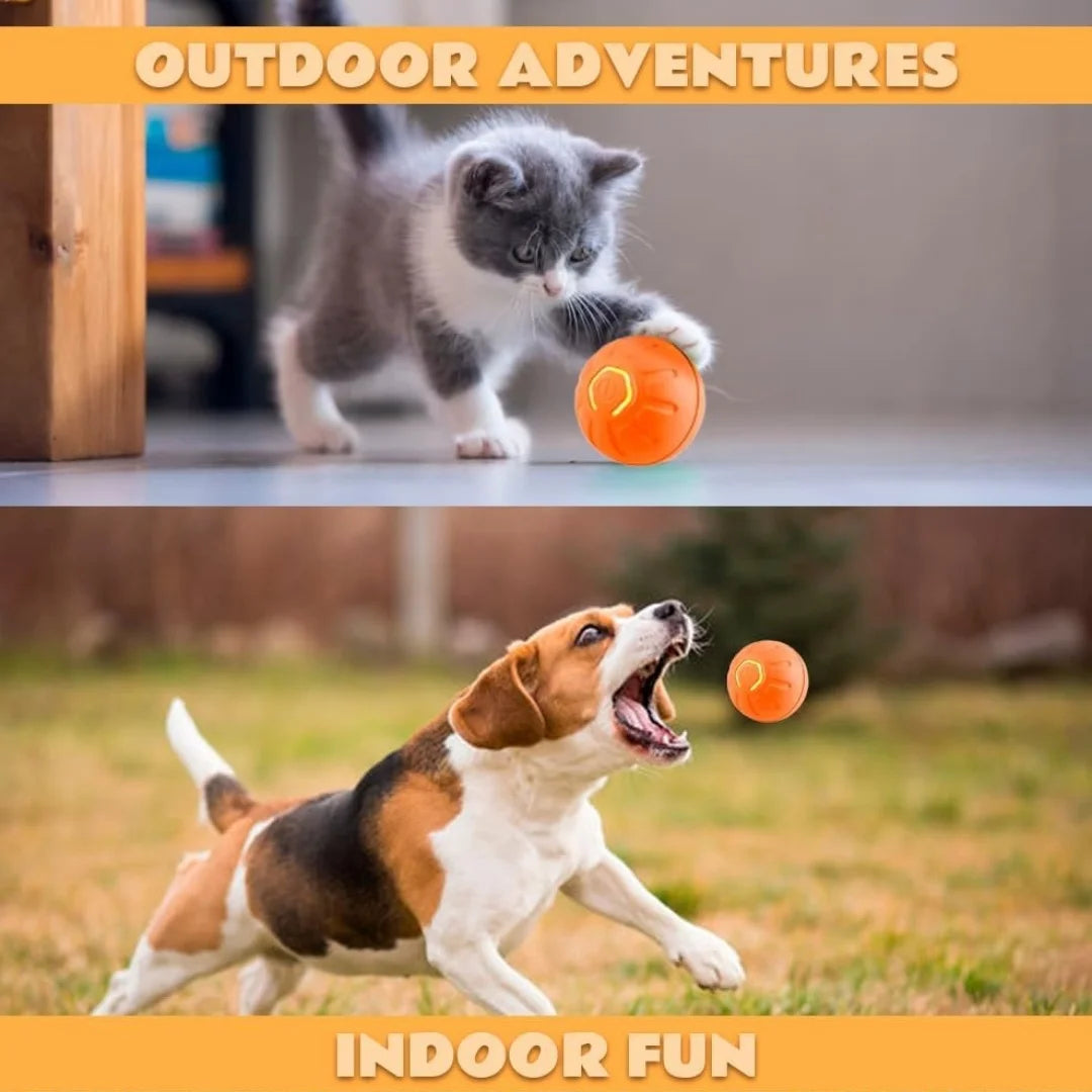 Bola Elétrica Inteligente Balsapets – Brinquedo Gravitacional para Cães e Gatos